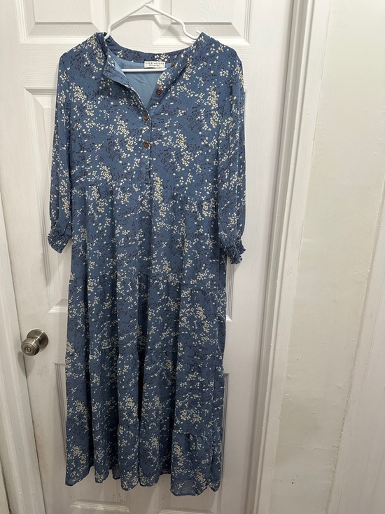 Paper Crane Dresses & Skirts - Paper Crane Blue Floral Button-Front Maxi Dress